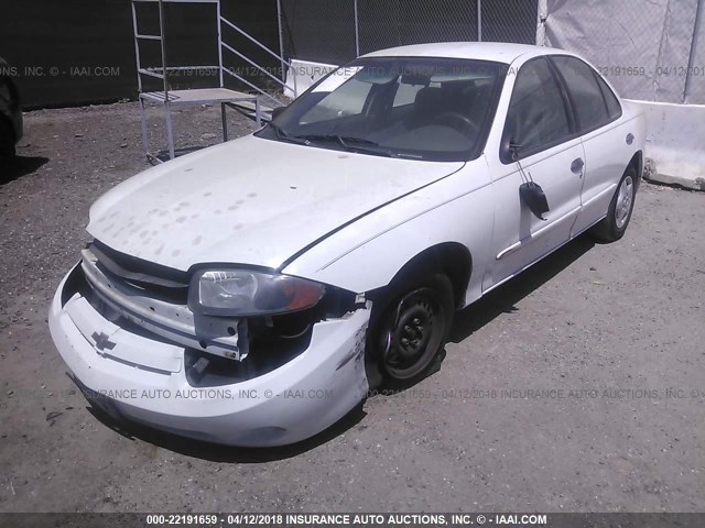 1G1JC52F237382210 - 2003 CHEVROLET CAVALIER WHITE photo 2