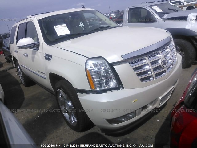 1GYFK63828R256411 - 2008 CADILLAC ESCALADE LUXURY أبيض صورة 1