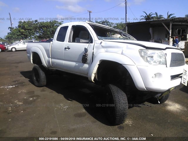 5TEUU42N65Z012988 - 2005 TOYOTA TACOMA ACCESS CAB Weiß Foto 1