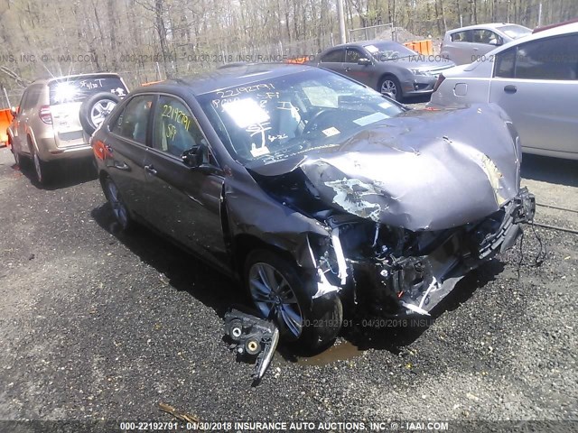 4T1BF1FK8GU593952 - 2016 TOYOTA CAMRY LE/XLE/SE/XSE GRAY photo 1