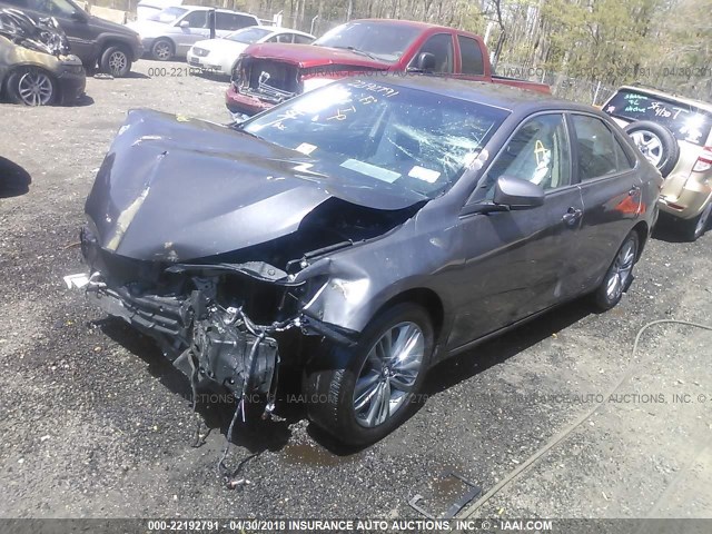 4T1BF1FK8GU593952 - 2016 TOYOTA CAMRY LE/XLE/SE/XSE GRAY photo 2