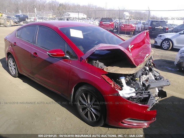 KNAFX4A68E5048157 - 2014 KIA FORTE LX RED photo 1