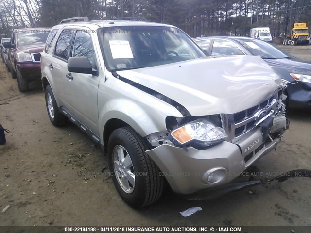 1FMCU0D79BKB35361 - 2011 FORD ESCAPE XLT GOLD photo 1