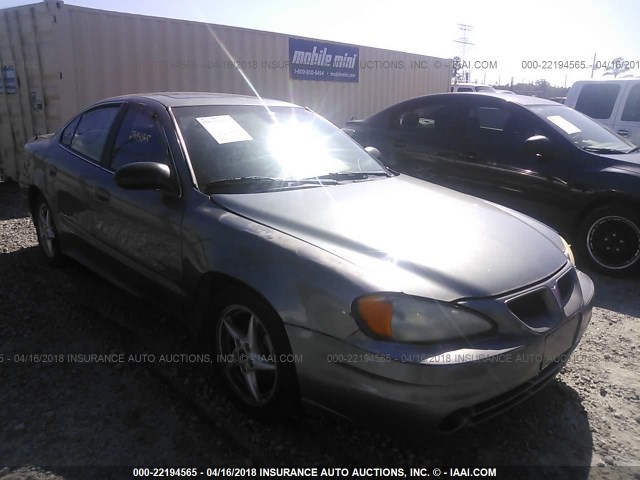 1G2NF52F43C175247 - 2003 PONTIAC GRAND AM SE1 GRAY photo 1