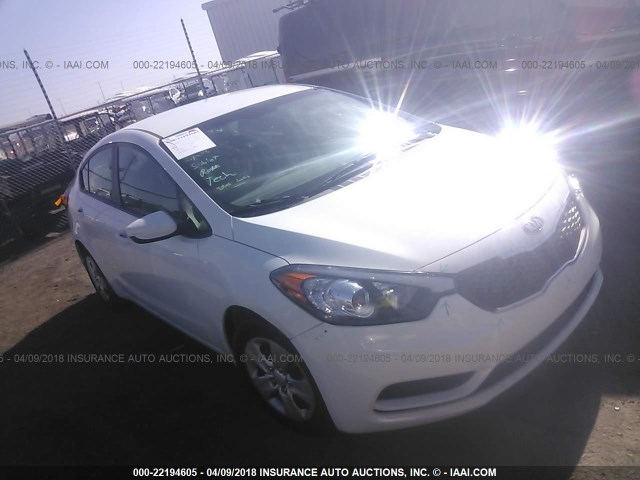 KNAFK4A65G5591385 - 2016 KIA FORTE LX WHITE photo 1