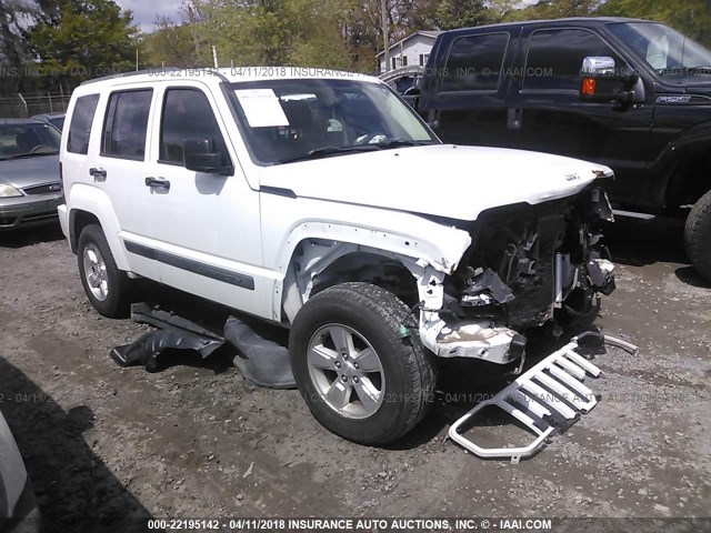 1J4PN2GK2BW591462 - 2011 JEEP LIBERTY SPORT WHITE photo 1