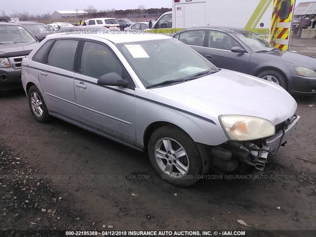 1G1ZT62895F187627 - 2005 CHEVROLET MALIBU MAXX LS SILVER photo 1