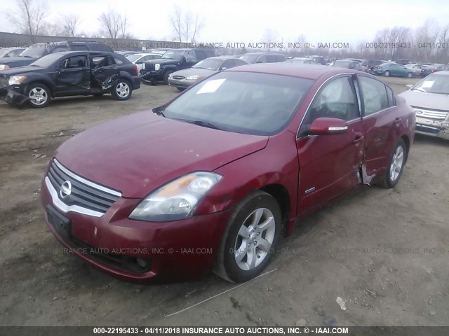 1N4CL21E29C138828 - 2009 NISSAN ALTIMA HYBRID RED photo 2