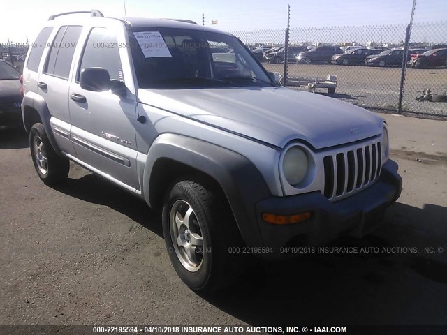 1J4GK48K32W297703 - 2002 JEEP LIBERTY SPORT GRAY photo 1