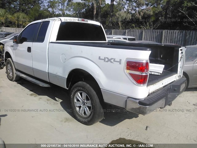 1FTEX1E80AFC45854 - 2010 FORD F150 SUPER CAB WHITE photo 3