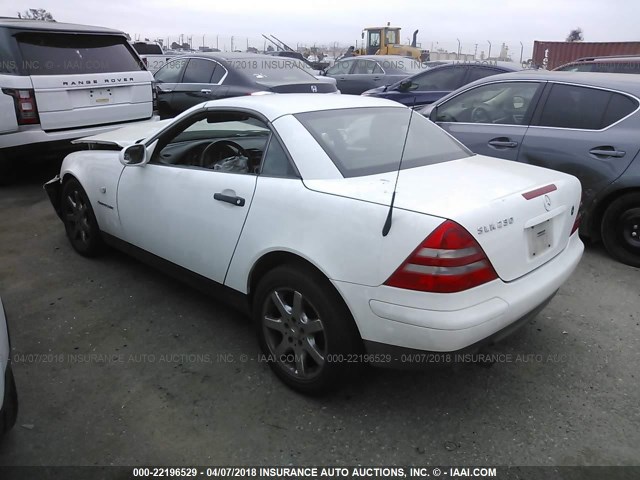 WDBKK47FXWF071246 - 1998 MERCEDES-BENZ SLK 230 KOMPRESSOR WHITE photo 3