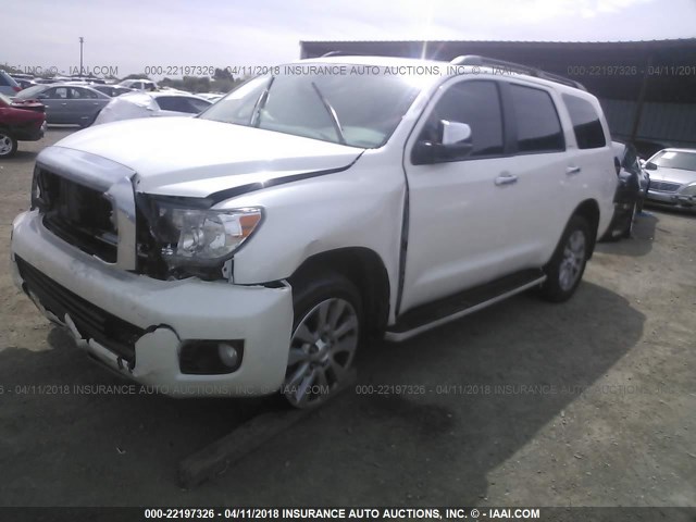 5TDDY5G13GS139617 - 2016 TOYOTA SEQUOIA PLATINUM WHITE photo 2