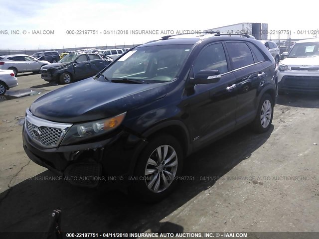 5XYKTDA21BG066402 - 2011 KIA SORENTO LX BLACK photo 2