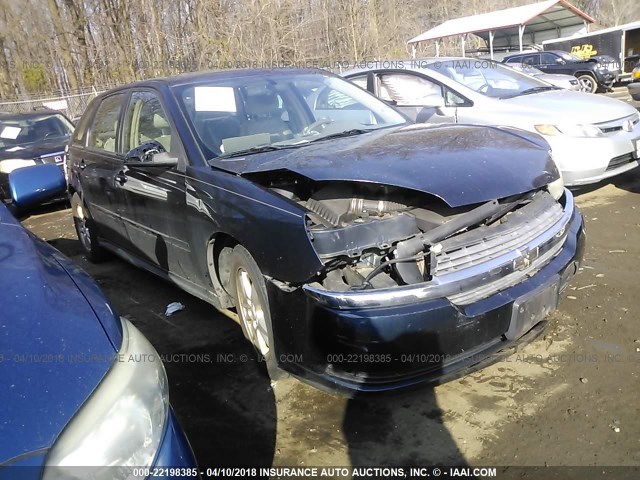 1G1ZT64874F185385 - 2004 CHEVROLET MALIBU MAXX LS BLUE photo 1