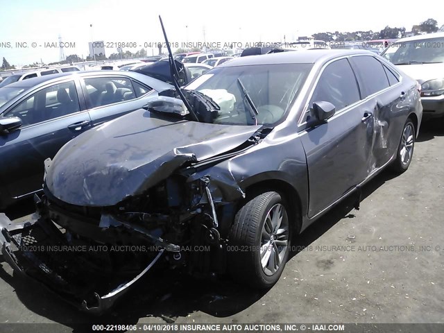 4T1BF1FK9GU145221 - 2016 TOYOTA CAMRY LE/XLE/SE/XSE GRAY photo 2