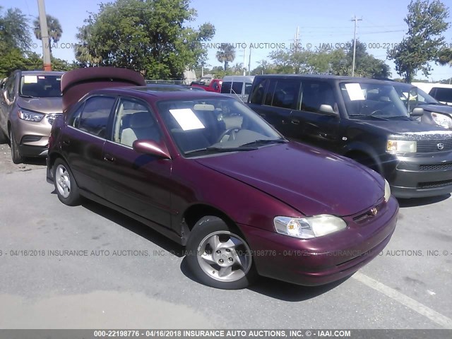 2T1BR18E4WC075884 - 1998 TOYOTA COROLLA VE/CE/LE MAROON photo 1