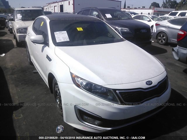 KNAGM4AD3C5031887 - 2012 KIA OPTIMA HYBRID WHITE photo 1