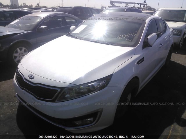 KNAGM4AD3C5031887 - 2012 KIA OPTIMA HYBRID WHITE photo 2