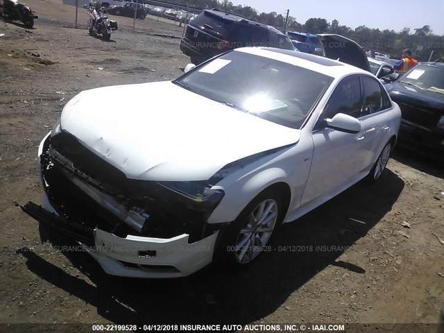 WAUFFAFL0EN035662 - 2014 AUDI A4 PREMIUM PLUS WHITE photo 2