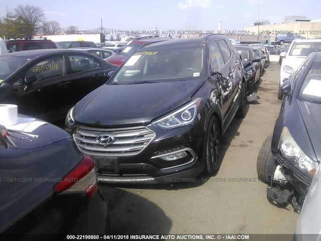 5XYZWDLAXHG474187 - 2017 HYUNDAI SANTA FE SPORT  BLACK photo 2