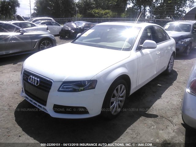 WAUSF78K19N036783 - 2009 AUDI A4 PREMIUM PLUS WHITE photo 2