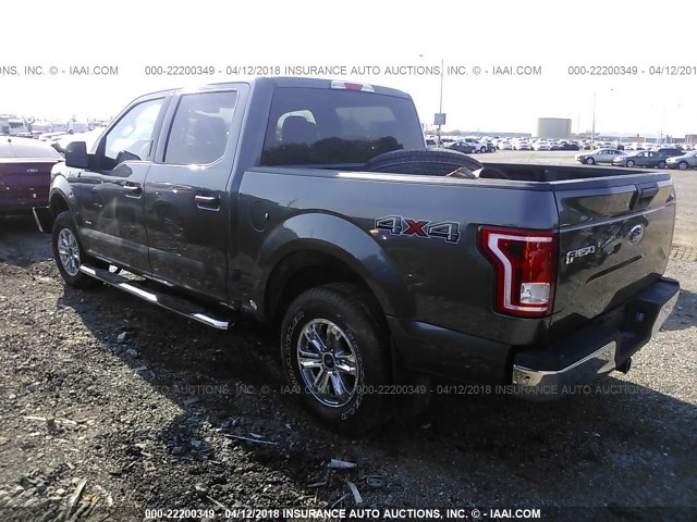 1FTEW1EP8GFC88244 - 2016 FORD F150 SUPERCREW GRAY photo 3