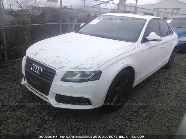 WAULF78K79N016820 - 2009 AUDI A4 2.0T QUATTRO WHITE photo 2