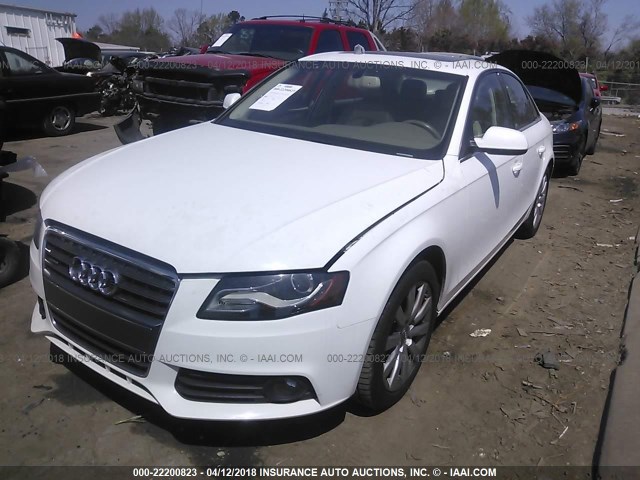 WAUFFAFL9BN025711 - 2011 AUDI A4 PREMIUM PLUS WHITE photo 2