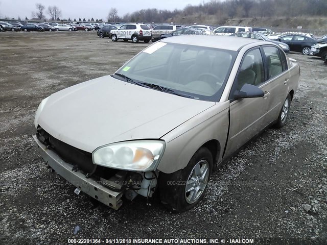 1G1ZT548X5F160668 - 2005 CHEVROLET MALIBU LS GOLD photo 2