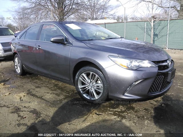 4T1BF1FK4GU120078 - 2016 TOYOTA CAMRY LE/XLE/SE/XSE GRAY photo 1