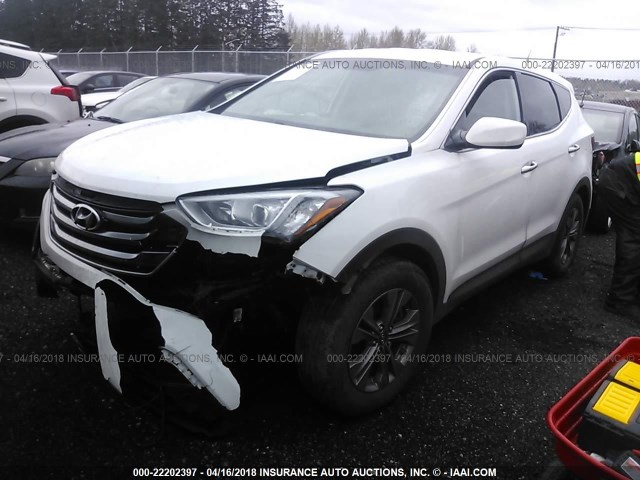 5XYZTDLB8FG294737 - 2015 HYUNDAI SANTA FE SPORT  WHITE photo 2