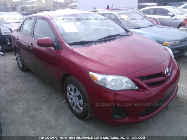 2T1BU4EE4BC615815 - 2011 TOYOTA COROLLA S/LE RED photo 1