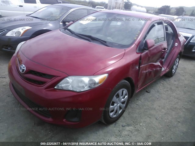 2T1BU4EE4BC615815 - 2011 TOYOTA COROLLA S/LE RED photo 2