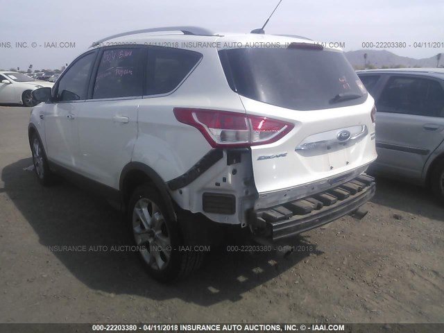 1FMCU0J96EUC52345 - 2014 FORD ESCAPE TITANIUM WHITE photo 3