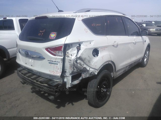 1FMCU0J96EUC52345 - 2014 FORD ESCAPE TITANIUM WHITE photo 4