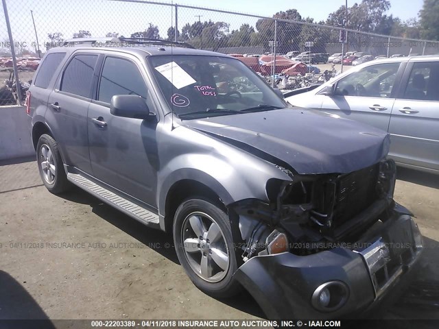 1FMCU0EG3AKB65372 - 2010 FORD ESCAPE LIMITED GRAY photo 1