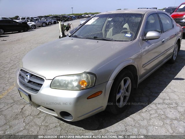 JN1DA31D73T523393 - 2003 NISSAN MAXIMA GLE/GXE/SE GOLD photo 2