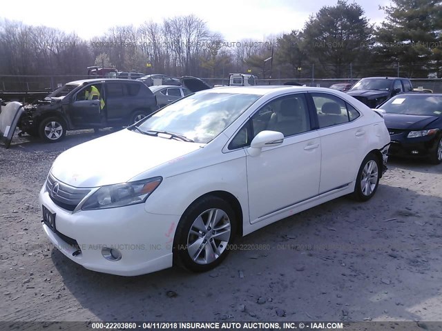 JTHBB1BA8B2046891 - 2011 LEXUS HS 250H WHITE photo 2