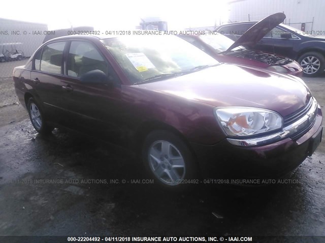 1G1ZT52895F222337 - 2005 CHEVROLET MALIBU LS 红色 照片 1