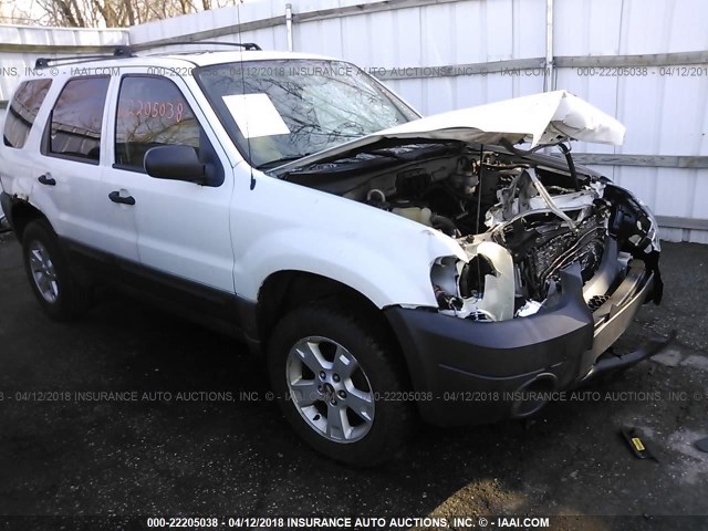 1FMYU03Z76KB10893 - 2006 FORD ESCAPE XLT თეთრი ფოტო 1