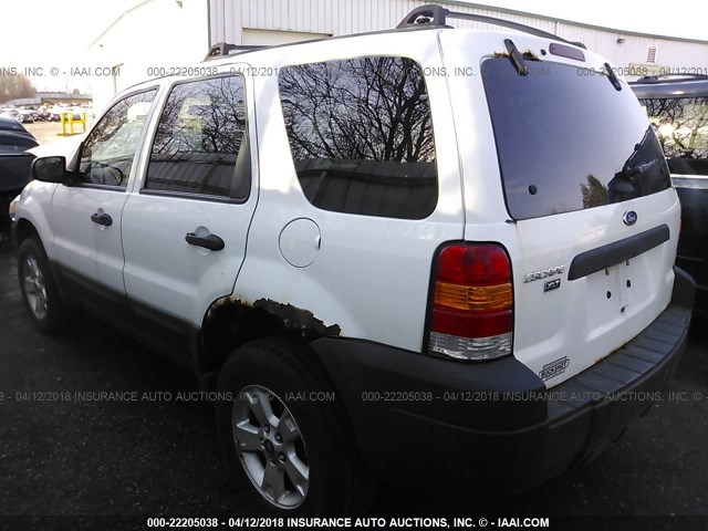 1FMYU03Z76KB10893 - 2006 FORD ESCAPE XLT თეთრი ფოტო 3