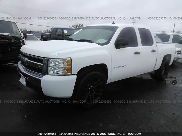 3GCEC23029G189117 - 2009 CHEVROLET SILVERADO C1500 LT WHITE photo 2