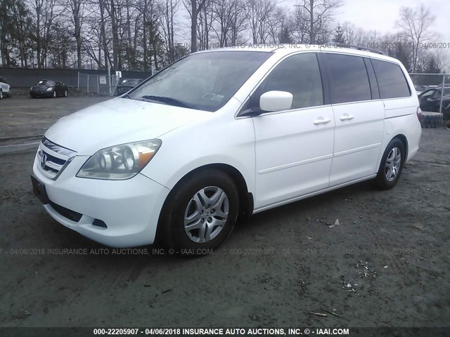 5FNRL38736B459888 - 2006 HONDA ODYSSEY EXL თეთრი ფოტო 2