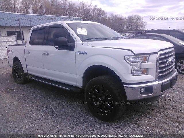 1FTEW1EF9FFB93701 - 2015 FORD F150 SUPERCREW WHITE photo 1