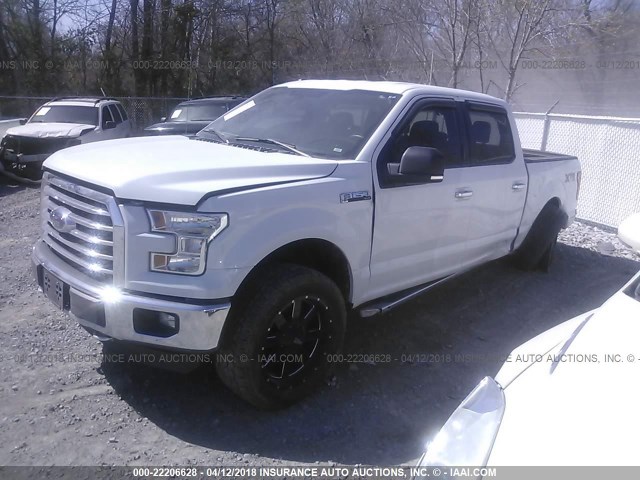 1FTEW1EF9FFB93701 - 2015 FORD F150 SUPERCREW WHITE photo 2