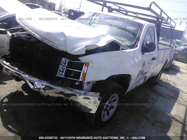 1GTN1TEX4BZ437086 - 2011 GMC SIERRA C1500 WHITE photo 2