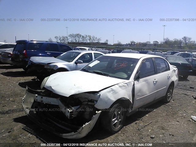 1G1ZT52865F299425 - 2005 CHEVROLET MALIBU LS 白色 照片 2