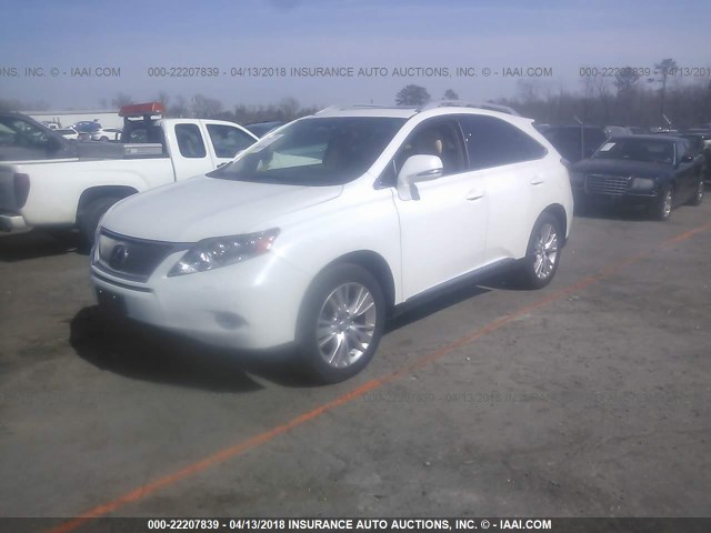 JTJBC1BA4A2405549 - 2010 LEXUS RX 450 WHITE photo 2