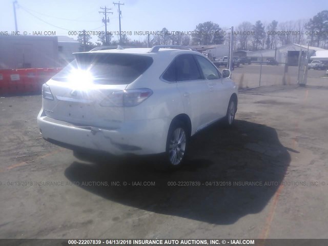 JTJBC1BA4A2405549 - 2010 LEXUS RX 450 WHITE photo 4