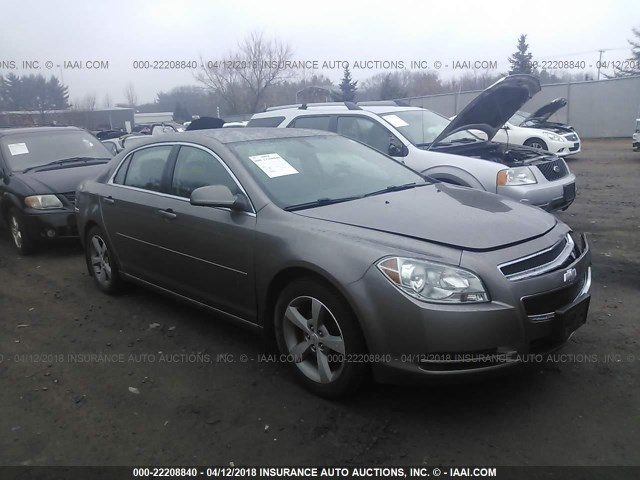 1G1ZC5E14BF113892 - 2011 CHEVROLET MALIBU 1LT 金色 照片 1